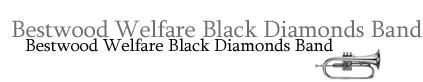 Bestwood Welfare Black Diamonds Brass Band